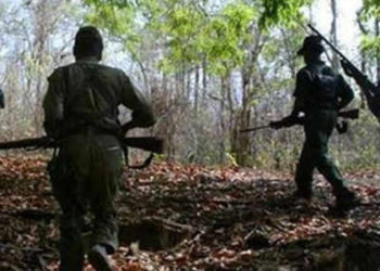 छत्तीसगड: पोलीस चकमकीत ४ नक्षल्यांचा खात्मा