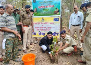 जागतिक वन दिन निमित्ताने यावल वनविभाग वृक्षलागवड