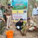 जागतिक वन दिन निमित्ताने यावल वनविभाग वृक्षलागवड