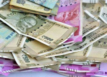 १२ वी पास मुलगा असा बनला करोडपती; जाणून घ्या सविस्तर माहिती