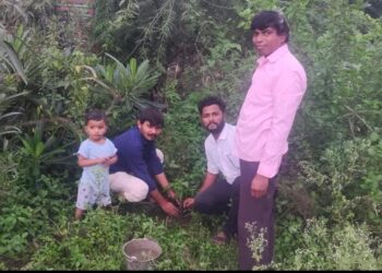 माणुसकी समुहातर्फे वाढदिवसाचे औचित्य साधून केले ३१ झाडांचे वृक्षारोपण