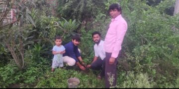 माणुसकी समुहातर्फे वाढदिवसाचे औचित्य साधून केले ३१ झाडांचे वृक्षारोपण
