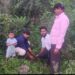 माणुसकी समुहातर्फे वाढदिवसाचे औचित्य साधून केले ३१ झाडांचे वृक्षारोपण