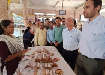बचतगटांना हक्काचे व्यासपीठ मिळवून देण्यासाठी प्रयत्न करणार : अंकीत