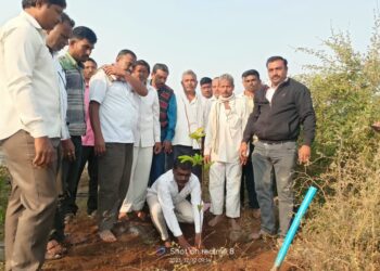 आईच्या अस्थी विसर्जन न करता राखेत शेतात पेरुचे झाड लावून दिला अनोखा संदेश