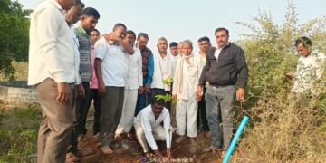 आईच्या अस्थी विसर्जन न करता राखेत शेतात पेरुचे झाड लावून दिला अनोखा संदेश