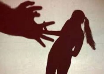 अमळनेरातील महिलेवर अत्याचार ; एकावर गुन्हा