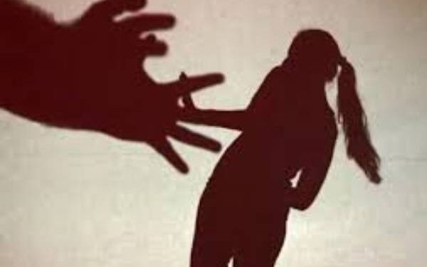 अमळनेरातील महिलेवर अत्याचार ; एकावर गुन्हा