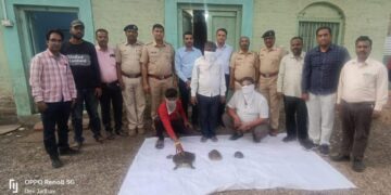जळगाव वनविभागाची कारवाई;कासवांची तस्करी करुन विक्री करण्याच्या उद्देशाने वाहतुक करणाऱ्या ३ आरोपींना पकडले
