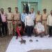 जळगाव वनविभागाची कारवाई;कासवांची तस्करी करुन विक्री करण्याच्या उद्देशाने वाहतुक करणाऱ्या ३ आरोपींना पकडले