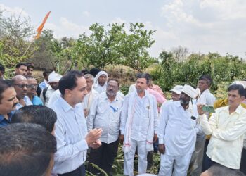 जिल्हाधिकारी आयुष प्रसाद यांचा जामनेर तालुका दौरा; अवकाळी पावसामुळे झालेल्या नुकसानीची