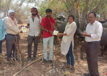 पशुसंवर्धन अधिकारी व कर्मचारी यांची काठीवाडी पशुपालकांना भेट