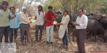 पशुसंवर्धन अधिकारी व कर्मचारी यांची काठीवाडी पशुपालकांना भेट
