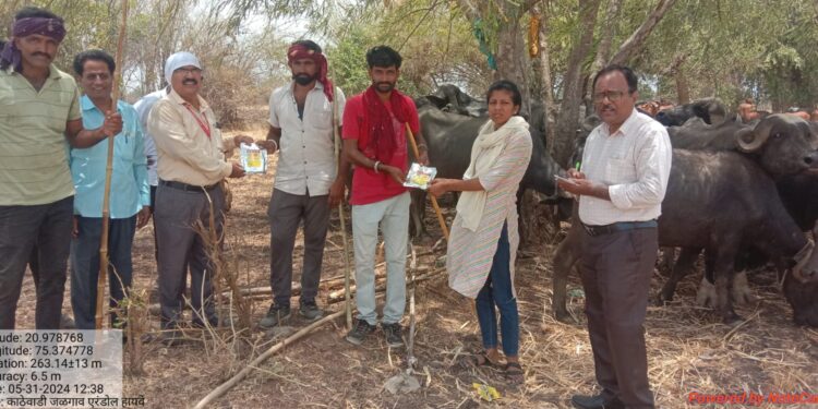 पशुसंवर्धन अधिकारी व कर्मचारी यांची काठीवाडी पशुपालकांना भेट