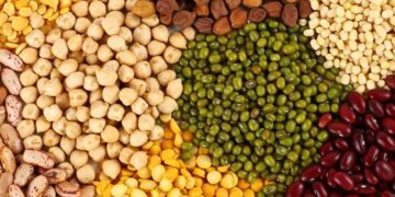 खरीप हंगामात कापूस पिकातंर्गत कडधान्य पिकाची लागवड करा जिल्हाधिकारी यांचे आवाहन…