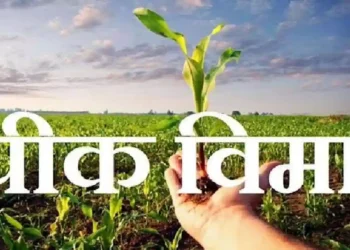 जिल्हयातील ३ लक्ष ८७ हजार पिक विमाधारकांसाठी ५२३ कोटी निधीस मान्यता