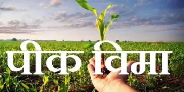 जिल्हयातील ३ लक्ष ८७ हजार पिक विमाधारकांसाठी ५२३ कोटी निधीस मान्यता