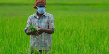 हंगामी पिकासाठी पाणी अर्ज सादर करण्याचे आवाहन