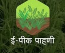 १५ ऑगस्ट पर्यंत शेतकऱ्यांना ई- पिक पाहणीची नोंद करून घेण्याचे जिल्हा प्रशासनाचे आवाहन