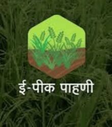 १५ ऑगस्ट पर्यंत शेतकऱ्यांना ई- पिक पाहणीची नोंद करून घेण्याचे जिल्हा प्रशासनाचे आवाहन