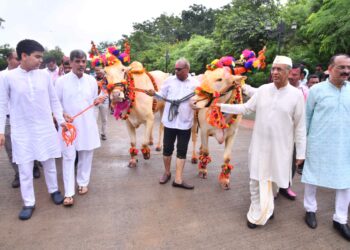 जैन हिल्स वर पोळा उत्साहात ;विदेशी नागरिकांसह भूमिपुत्रांनी धरला ठेका