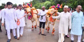 जैन हिल्स वर पोळा उत्साहात ;विदेशी नागरिकांसह भूमिपुत्रांनी धरला ठेका