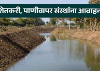 रब्बी हंगामासाठी पाणी अर्ज भरण्यासाठीची मुदत १ डिसेंबर पर्यंतच