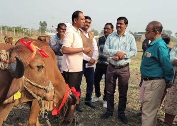 जिल्हा पशुसंवर्धन उपायुक्तांच्या अध्यक्षतेखाली वरणगाव येथे भव्य पशु प्रदर्शन संपन्न