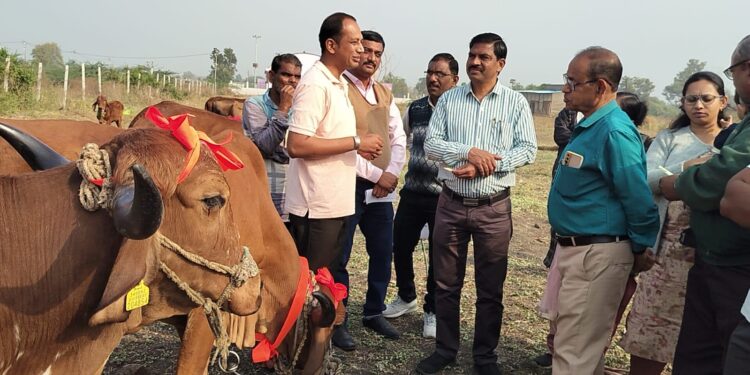 जिल्हा पशुसंवर्धन उपायुक्तांच्या अध्यक्षतेखाली वरणगाव येथे भव्य पशु प्रदर्शन संपन्न