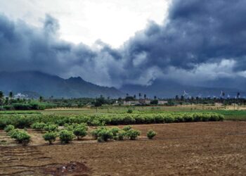 किमान 15 जूनपर्यंत राज्यात सर्वत्र मान्सूनच्या पावसाची शक्यता कमी;शेतकऱ्यांनी पेरणीची घाई करू नये