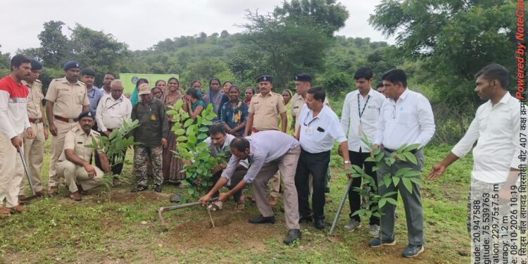*राखीव वनक्षेत्रात ५०० रोपांची लागवड; ३ हजार सीड्स बॉलची पेरणी*