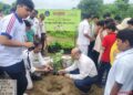 हरित महाराष्ट्र अभियानात अनुभूती निवासी स्कूलच्या विद्यार्थ्यांकडून वृक्षारोपण