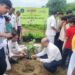 हरित महाराष्ट्र अभियानात अनुभूती निवासी स्कूलच्या विद्यार्थ्यांकडून वृक्षारोपण